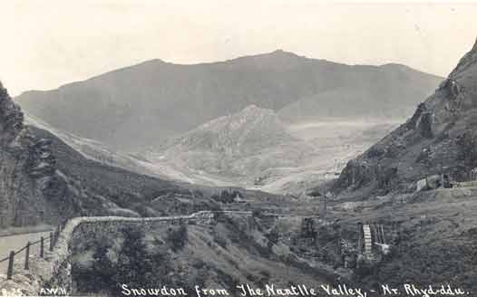 Drws y Coed