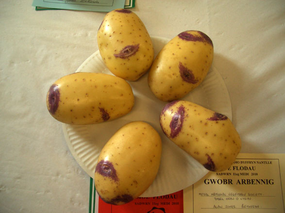Medal National Veg Society – Dysgl orau o lysiau