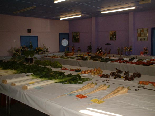 Dyffryn Nantlle Gardening Society - Flower Show 12-09-2009 - 4