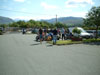 Oriel Luniau Gwyl Fai 2008 16